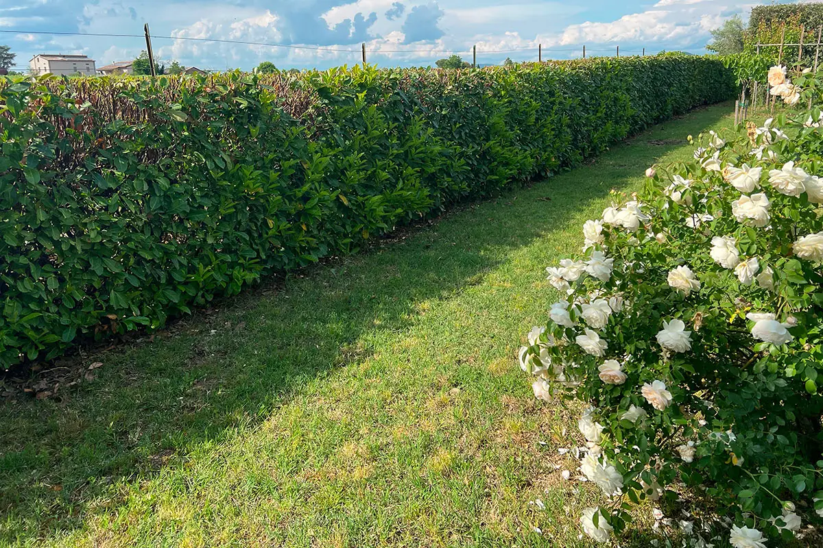 Attenzione a come costruisci in giardino: ecco cosa sono i “derivati” e quando servono permessi