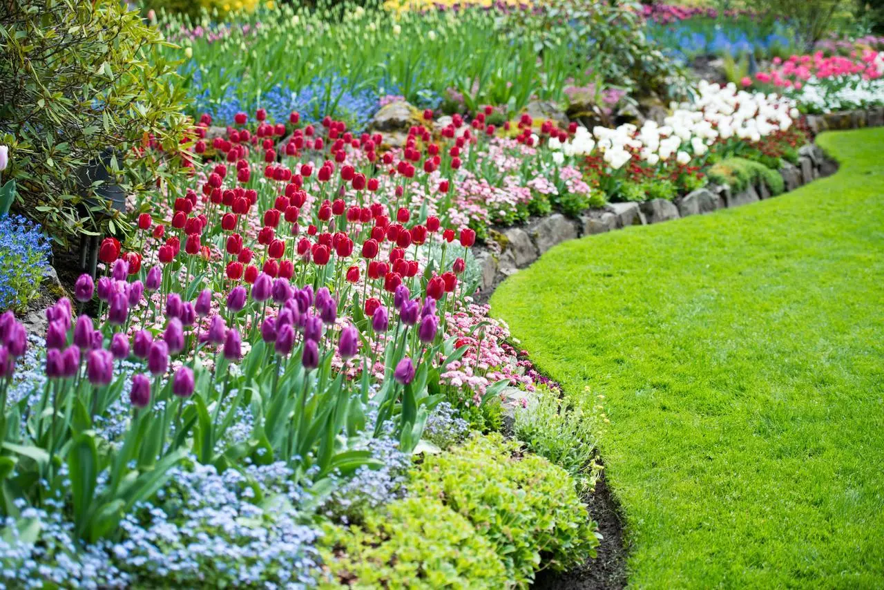 Il segreto dei giardini spettacolari: ecco le piante strutturali che danno forma e armonia