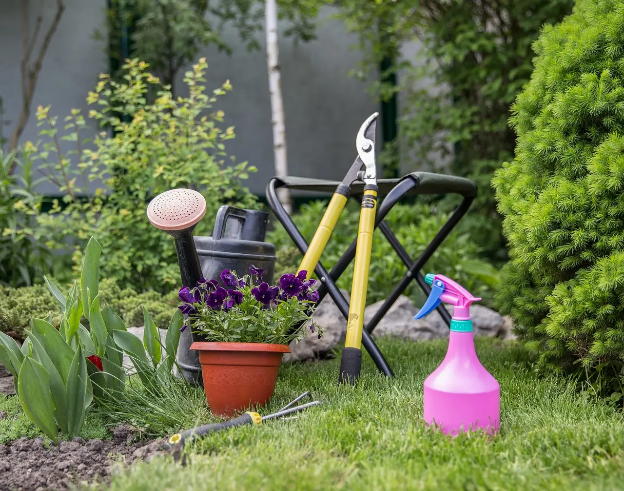 Non è solo giardinaggio: ecco come si chiama davvero il settore che cura verde e piante